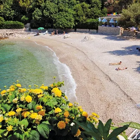 Apartman Apartments With A Parking Space Plat, Dubrovnik - 4792