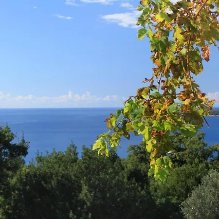 Apartments With A Parking Space Plat, Dubrovnik - 4792 Mlini